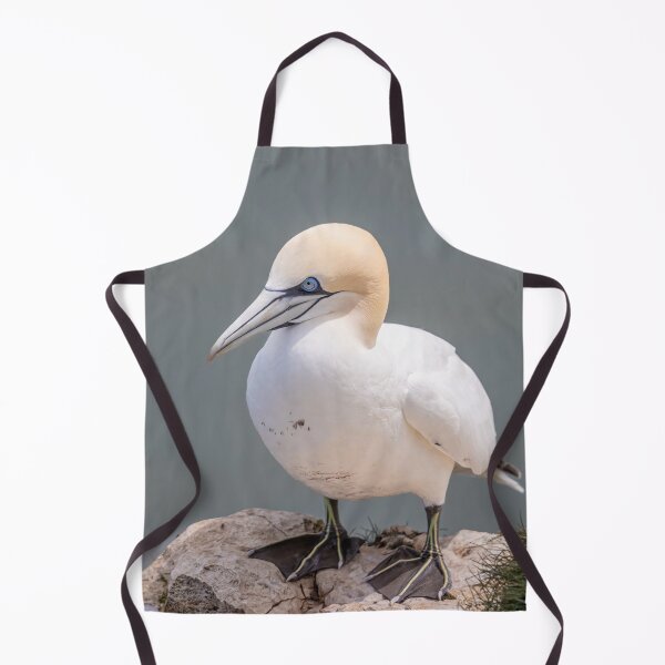 Item preview, Northern Gannet designed and sold by AliMarleyPhoto.