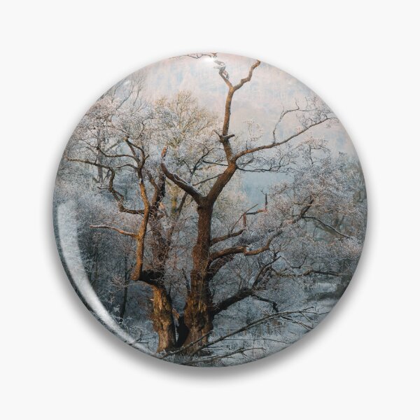 Item preview, Winter Sun designed and sold by John Dunbar.
