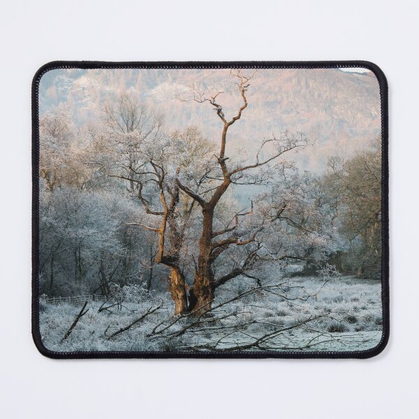 Item preview, Winter Sun designed and sold by John Dunbar.