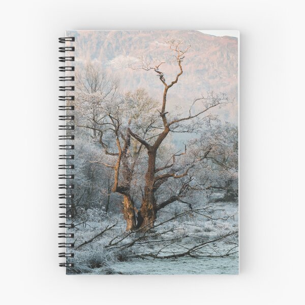 Item preview, Winter Sun designed and sold by John Dunbar.