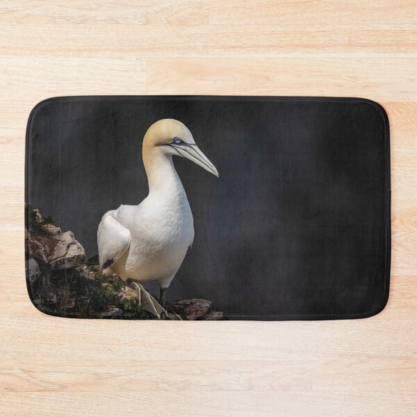 Item preview, Northern Gannet  designed and sold by AliMarleyPhoto.