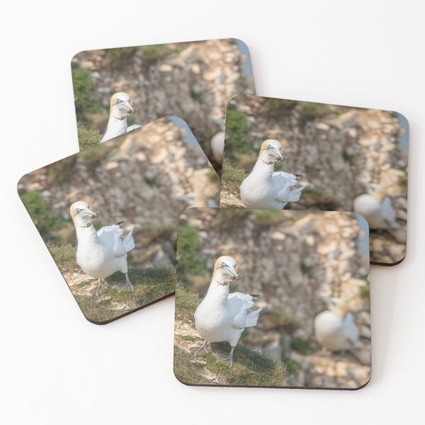 Artikelvorschau, Northern Gannet entworfen und verkauft von AliMarleyPhoto.