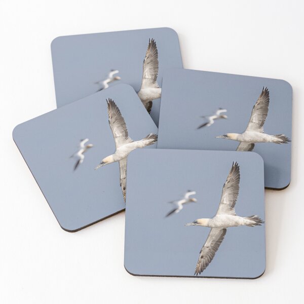 Item preview, Northern Gannet  designed and sold by AliMarleyPhoto.