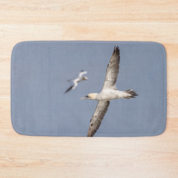 Item preview, Northern Gannet  designed and sold by AliMarleyPhoto.