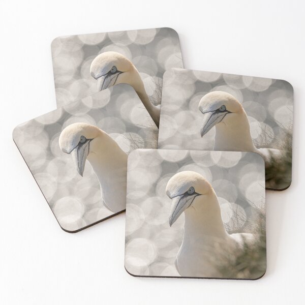 Artikelvorschau, Northern Gannet entworfen und verkauft von AliMarleyPhoto.