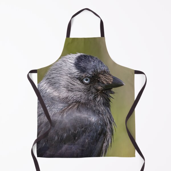Item preview, Jackdaw designed and sold by AliMarleyPhoto.