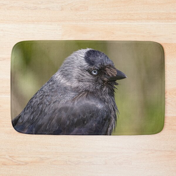 Item preview, Jackdaw designed and sold by AliMarleyPhoto.