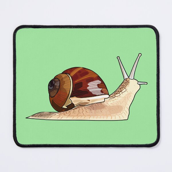 Item preview, Snail cartoon illustration designed and sold by Misscartoon.
