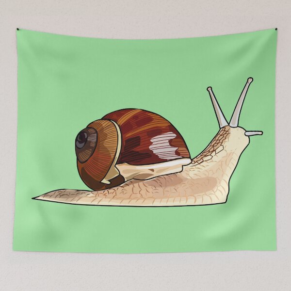 Item preview, Snail cartoon illustration designed and sold by Misscartoon.