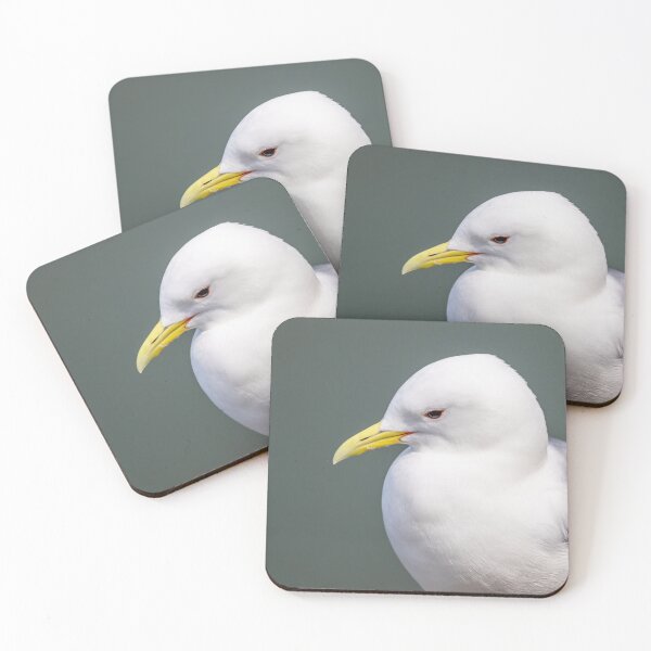 Artikelvorschau, kittiwake entworfen und verkauft von AliMarleyPhoto.