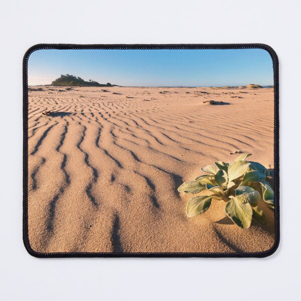 Item preview, Plantation designed and sold by Geoff Wols.