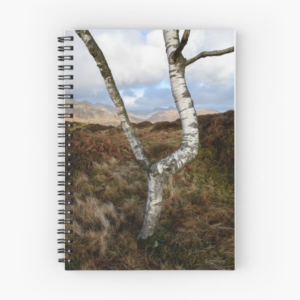 Item preview, Silver on the Fell designed and sold by John Dunbar.