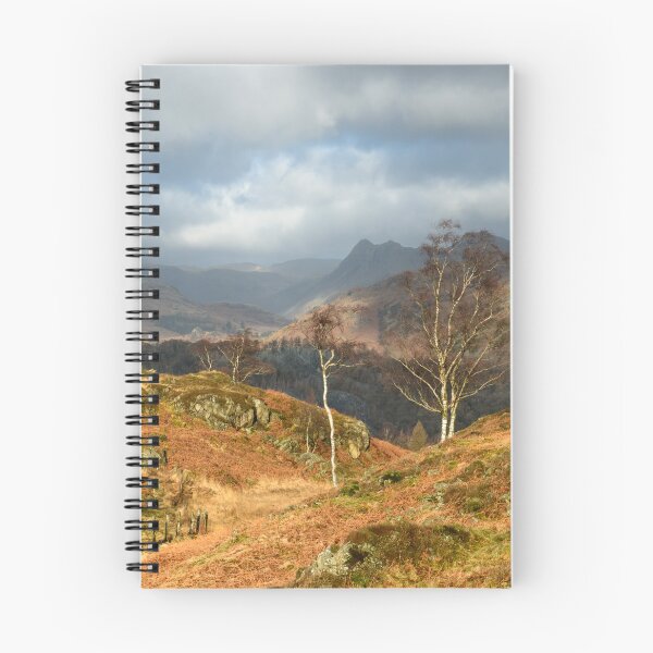 Item preview, Silver Birches of Holme Fell designed and sold by John Dunbar.