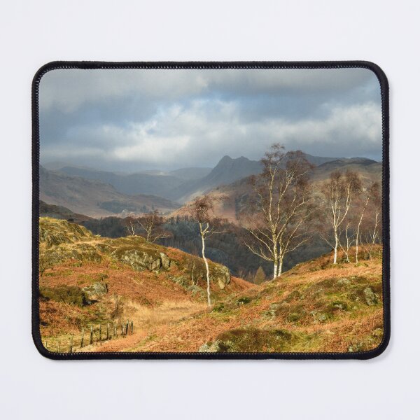Item preview, Silver Birches of Holme Fell designed and sold by John Dunbar.