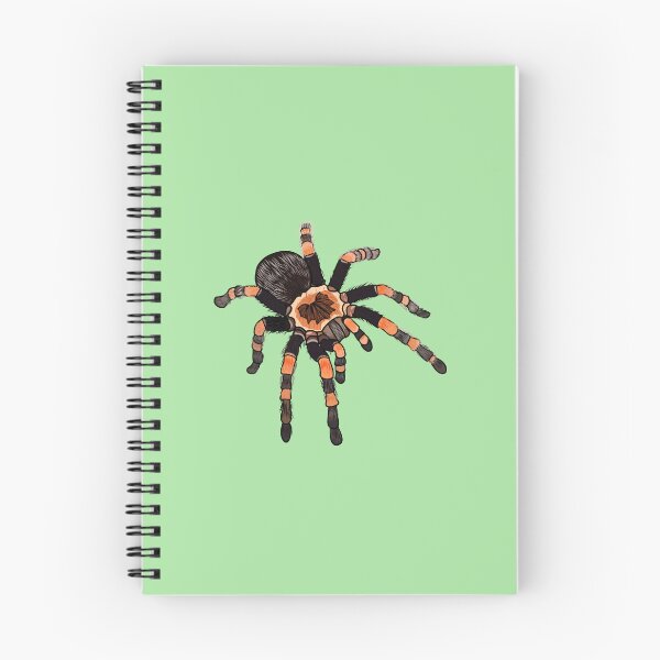 Item preview, Tarantula cartoon illustration designed and sold by Misscartoon.