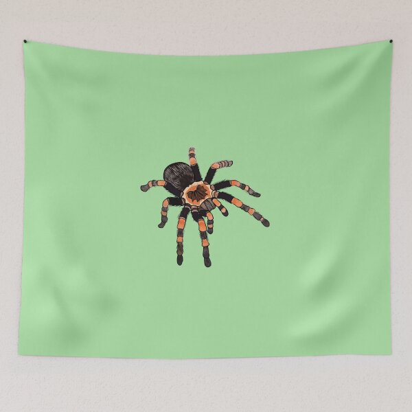 Item preview, Tarantula cartoon illustration designed and sold by Misscartoon.