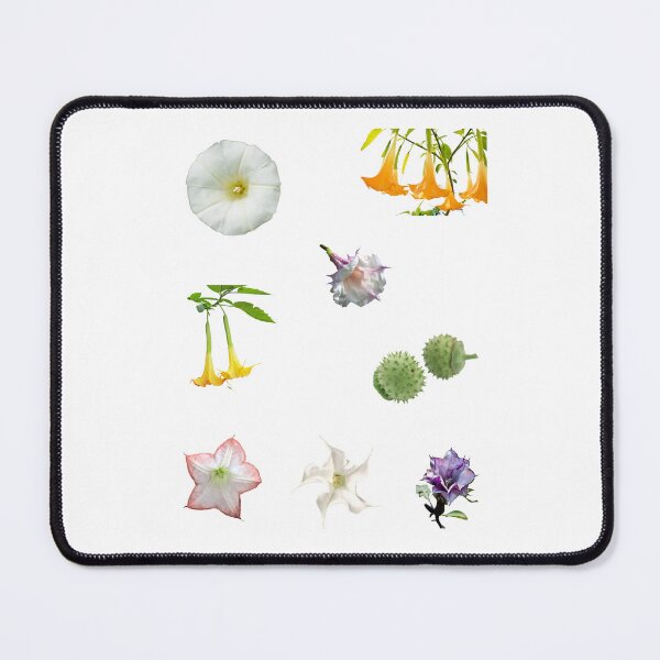 Item preview, A nature lover set of beautiful datura flowers, datura plant, datura flower art, datura stramonium and sacred datura gifts designed and sold by haRexia.