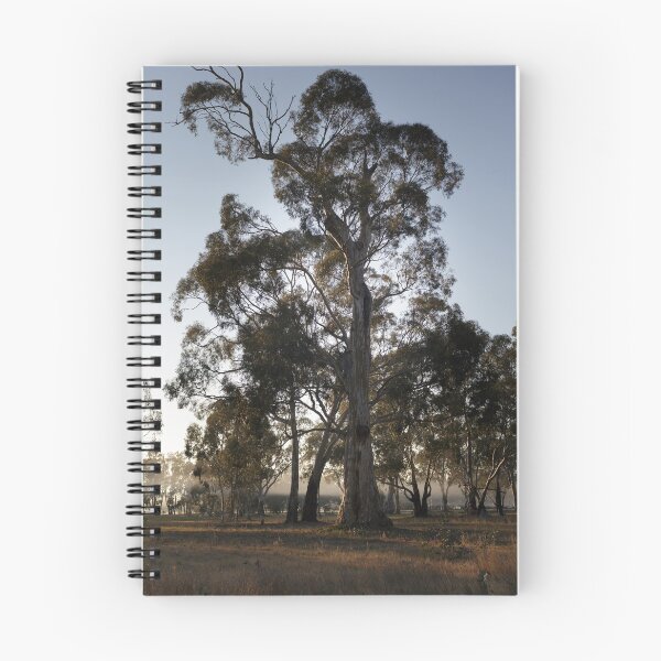 Item preview, Eucalypts in morning mist, Moora, Victoria designed and sold by Merrilyn Serong.