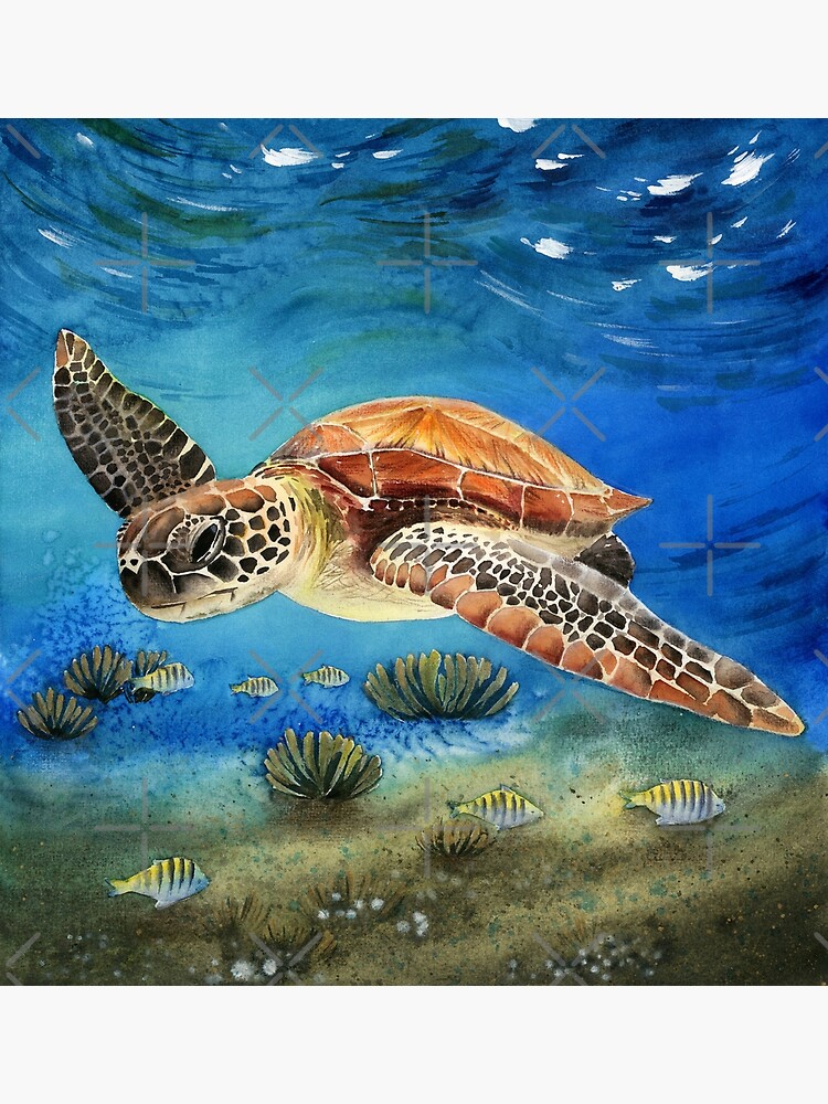 Watercolor sea turtle Poster for Sale by MaryWatercolor