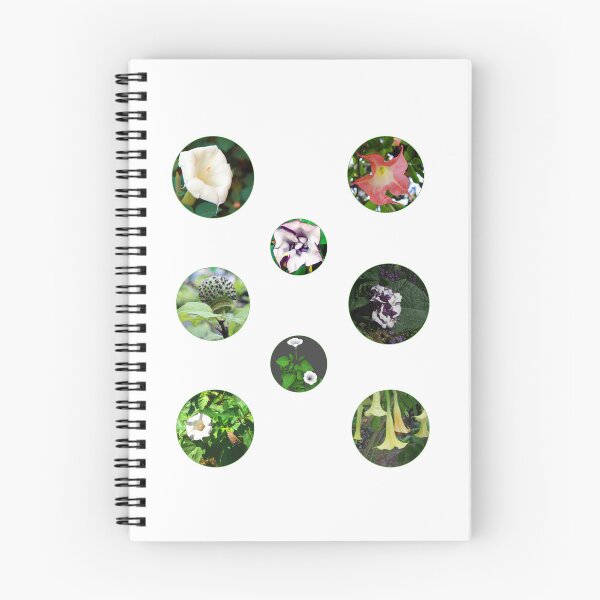 Item preview, A nature lover set of beautiful datura flowers, datura plant, datura flower art, datura stramonium and sacred datura gifts designed and sold by haRexia.