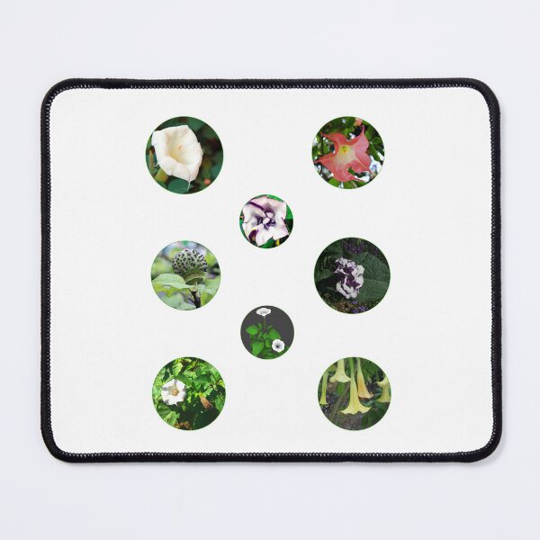 Item preview, A nature lover set of beautiful datura flowers, datura plant, datura flower art, datura stramonium and sacred datura gifts designed and sold by haRexia.