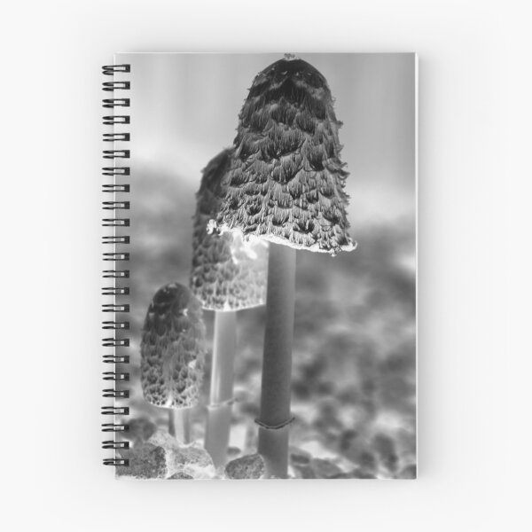 Item preview,  shaggy ink cap designed and sold by RickVink.