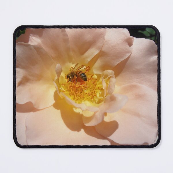 Item preview, Bee at Work, Open Garden, Canberra, Australia. designed and sold by kaysharp.