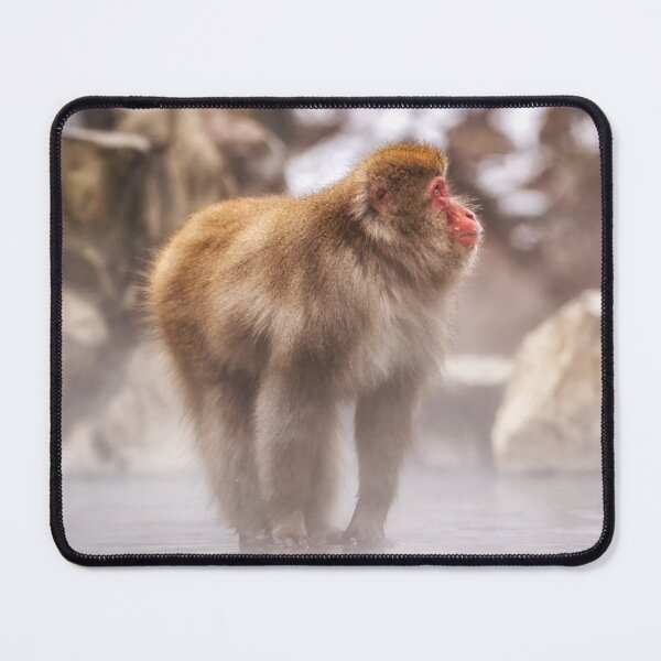Item preview, Snow Monkey in Jigokudani Monkey Park designed and sold by aaronchoi.