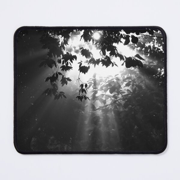 Item preview, Even in shades of black and white, the tree stands illuminated by the sun's brilliant rays, a striking contrast of light and dark designed and sold by zamilsharafat.