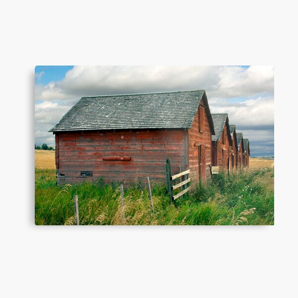 Red Barns Series 3 Metal Print