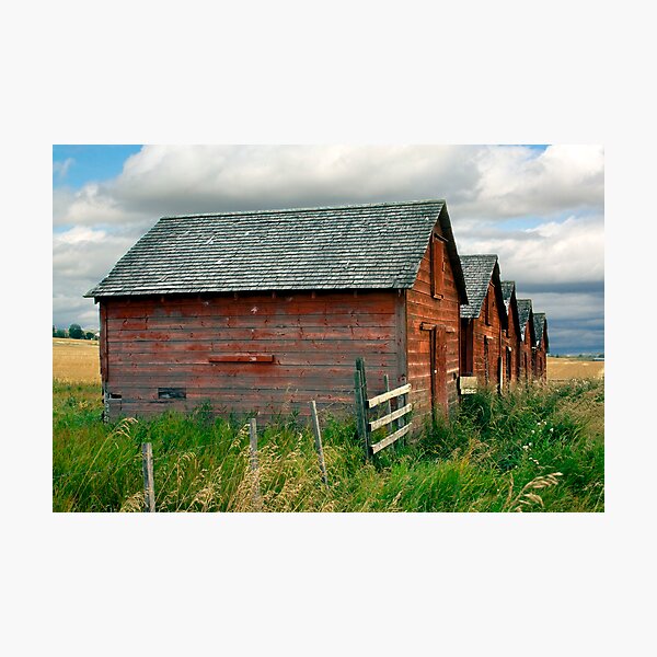 Red Barns Series 3 Photographic Print