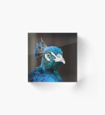 paon Acrylic Block