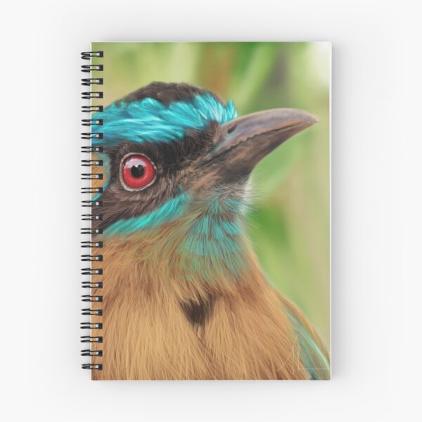 Item preview, Blue Crowned Motmot Painting designed and sold by Alvaro-Miranda.