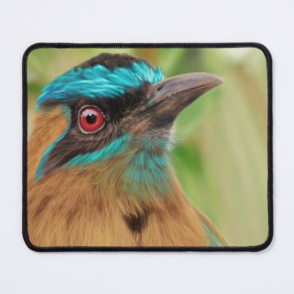 Item preview, Blue Crowned Motmot Painting designed and sold by Alvaro-Miranda.