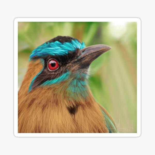 Blue Crowned Motmot Painting Sticker