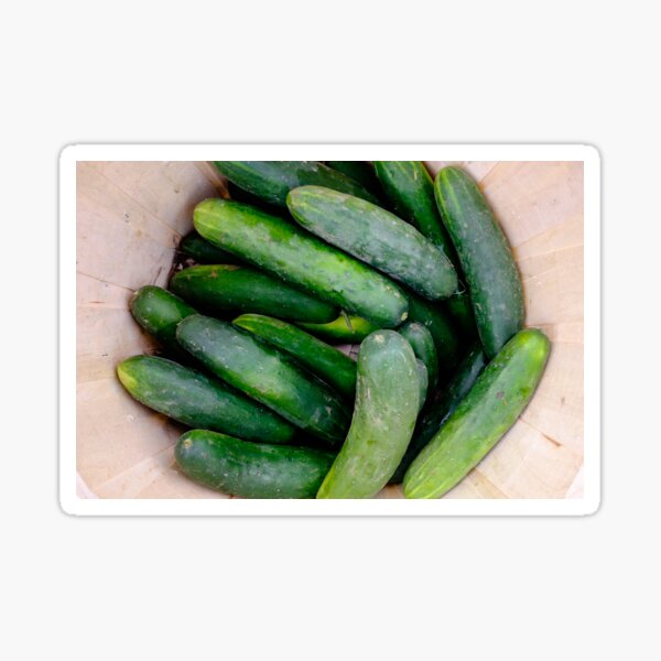 Item preview, Cucumbers In Basket designed and sold by Robert Alsop.