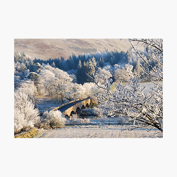 winter light Photographic Print