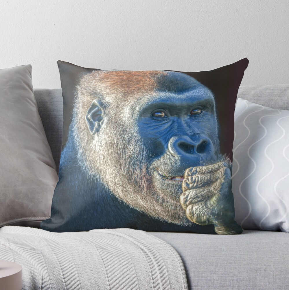 https://ih1.redbubble.net/image.4822005315.1808/throwpillow,medium,1000x-bg,f8f8f8-c,0,200,1000,1000.jpg