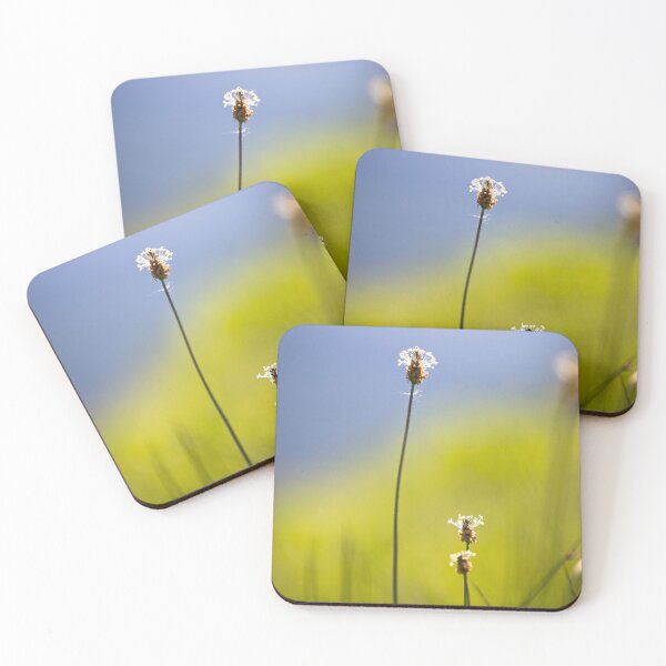 Item preview, Summer grasses - original high quality photography designed and sold by PatBlancheArt.