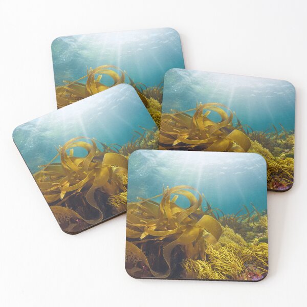 Item preview, Kelp and others seaweeds with sunlight underwater in the ocean designed and sold by Seaphotoart.