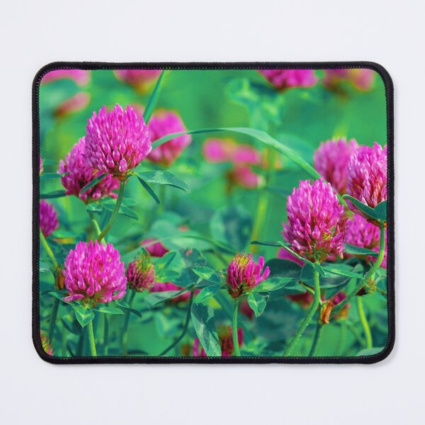 Item preview, Clover Flower designed and sold by Bunmigraphics .