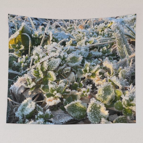 Item preview, Frosted 4 designed and sold by Abeink1030.