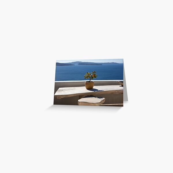 1756 The orange tree Greeting Card