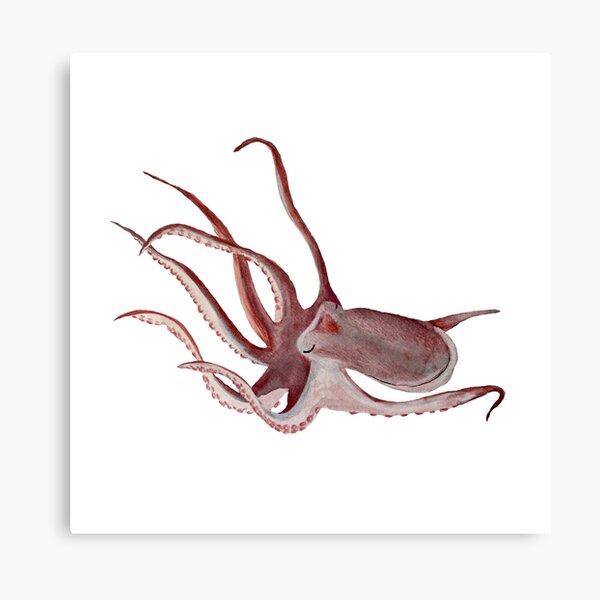 Item preview, Octopus pink ocean organism a watercolor sketch designed and sold by calligramus.