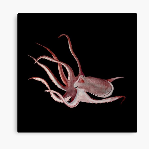Item preview, Octopus pink ocean organism a watercolor sketch black designed and sold by calligramus.