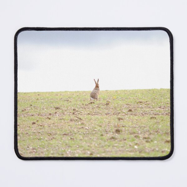 Item preview, Brown Hare designed and sold by Wildlifespotter.