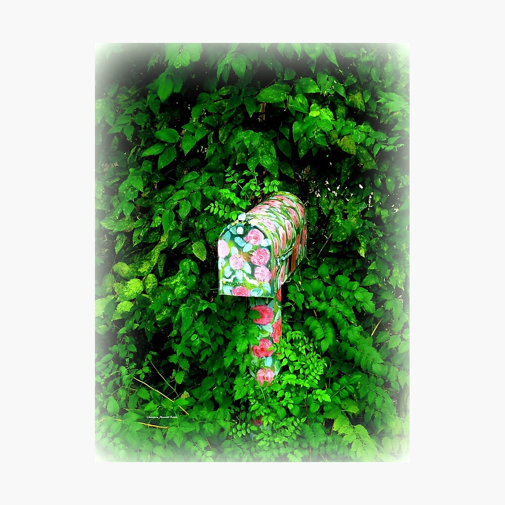 "Pretty Mailbox" Photographic Print by Sita Redbubble