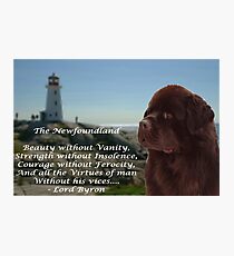 Newfoundland - Lord Byrons Poem Photographic Print