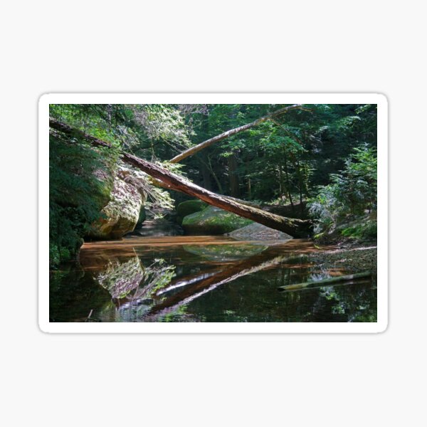 Item preview, Dismal Trees designed and sold by TinyDinoDesigns.