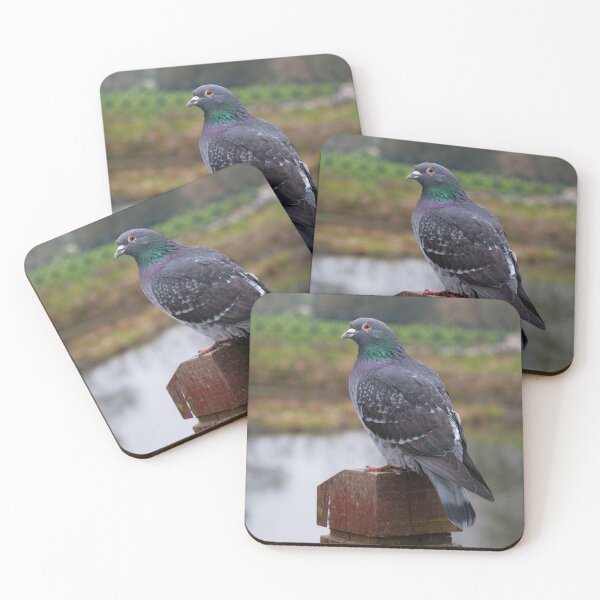 Item preview, The Regal Pigeon. designed and sold by GingerMan2550.